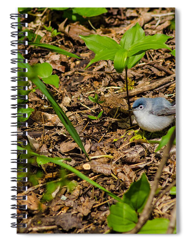 Bird Spiral Notebook featuring the photograph It's a Jungle Out There by Wild Fotos