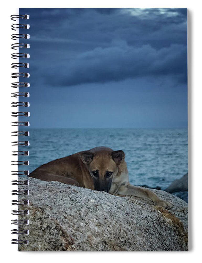 Michelle Meenawong Spiral Notebook featuring the photograph It's Time To Go Home by Michelle Meenawong