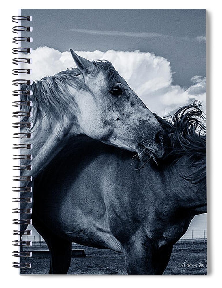 Horses Spiral Notebook featuring the photograph I've Got My Eye on You by Karen Slagle