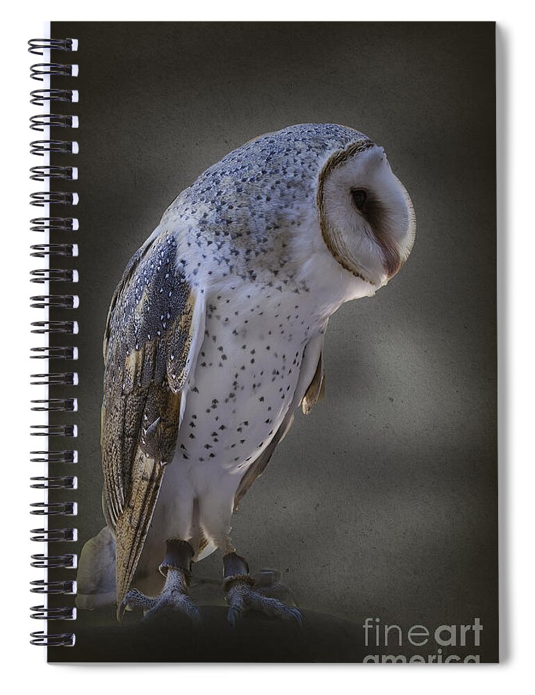 Raptor Spiral Notebook featuring the photograph Ivy the Barn Owl by Elaine Teague