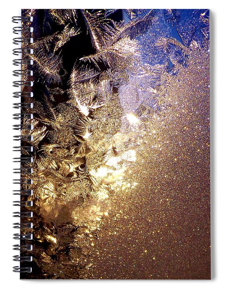 Ice Crystals Spiral Notebook featuring the photograph Jack's Visit by Danielle R T Haney