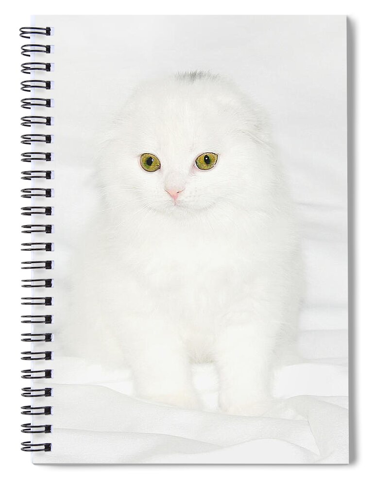 Scottish Fold Spiral Notebook featuring the pyrography January 2006 by Robert Morin