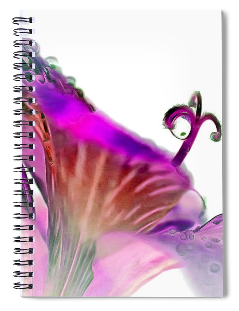Amaryllis Spiral Notebook featuring the digital art January Dreaming by Krissy Katsimbras