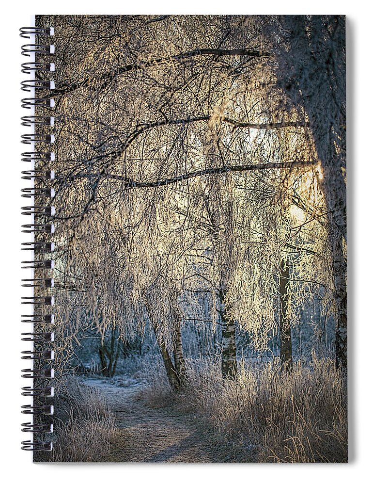 Winter Spiral Notebook featuring the photograph January,1-st, 14.35 #h4 by Leif Sohlman