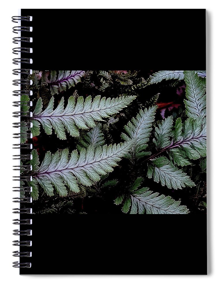 Japanese Painted Fern Spiral Notebook featuring the photograph Japanese Painted Fern by Allen Nice-Webb