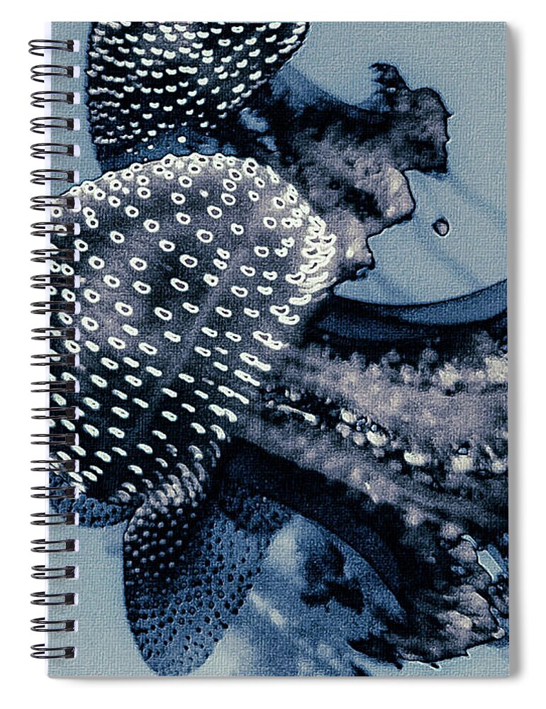 Mona Stut Spiral Notebook featuring the digital art Jelly Fish Cnidarian Quallen Blue by Mona Stut