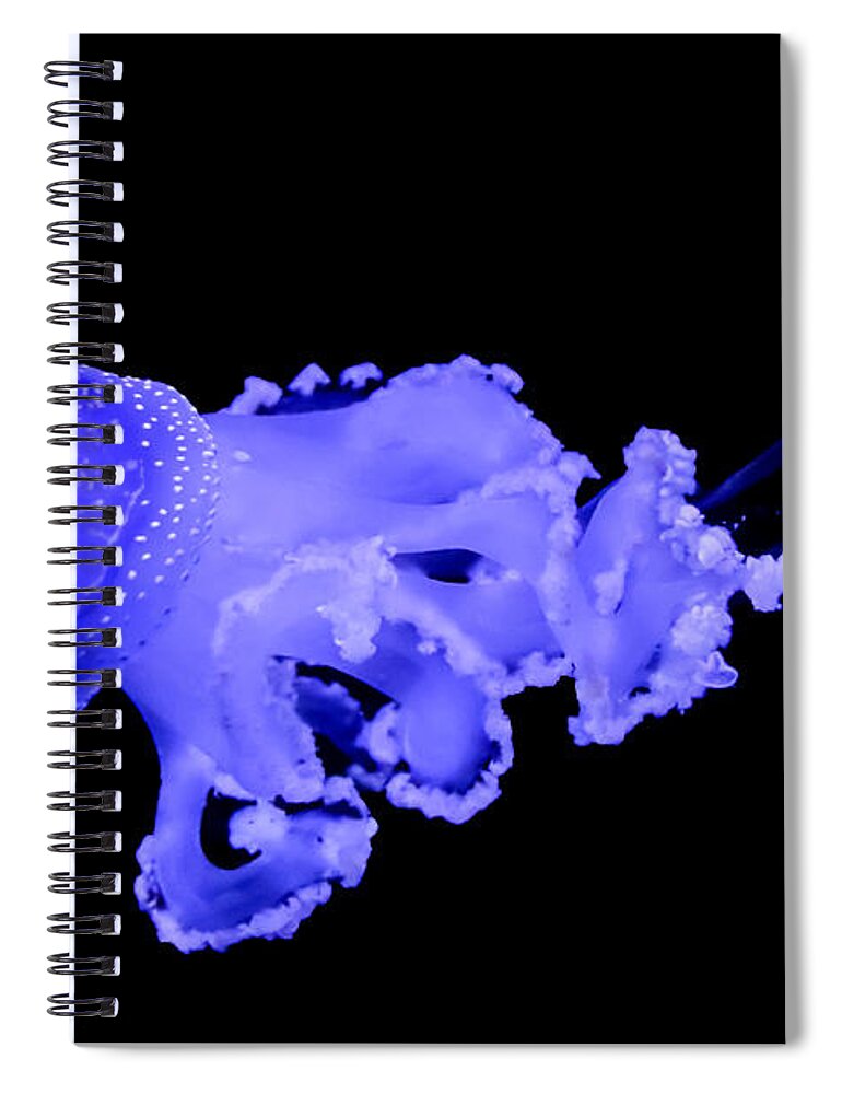 Jellyfish Spiral Notebook featuring the photograph Jellyfish by Amanda Mohler