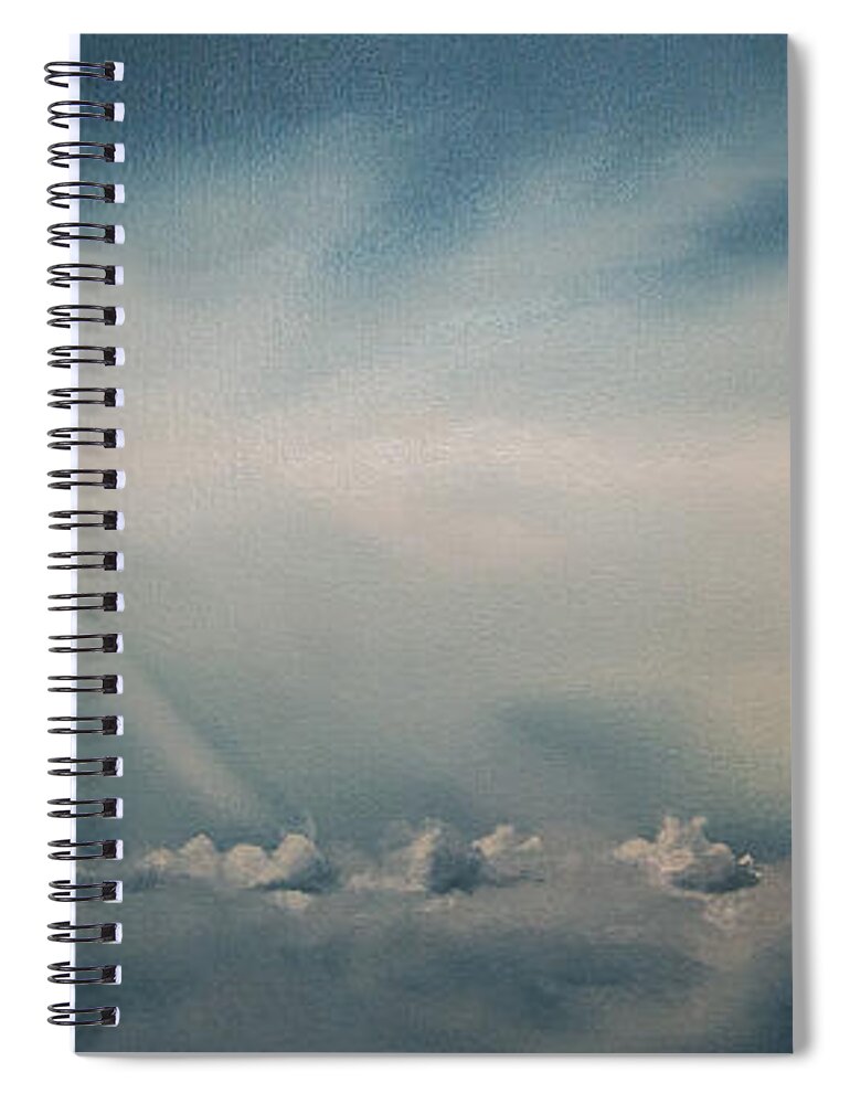 Fly Spiral Notebook featuring the painting Johnathan's Dream by Jerome White