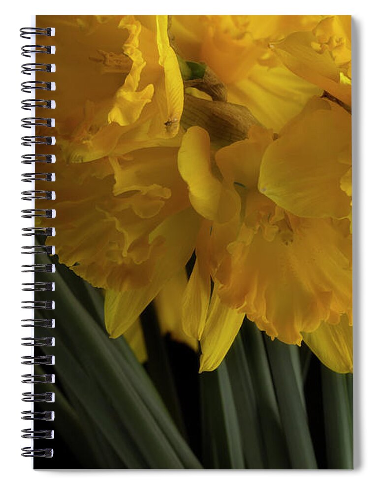 Flowers Spiral Notebook featuring the photograph Jonquils by Mike Eingle