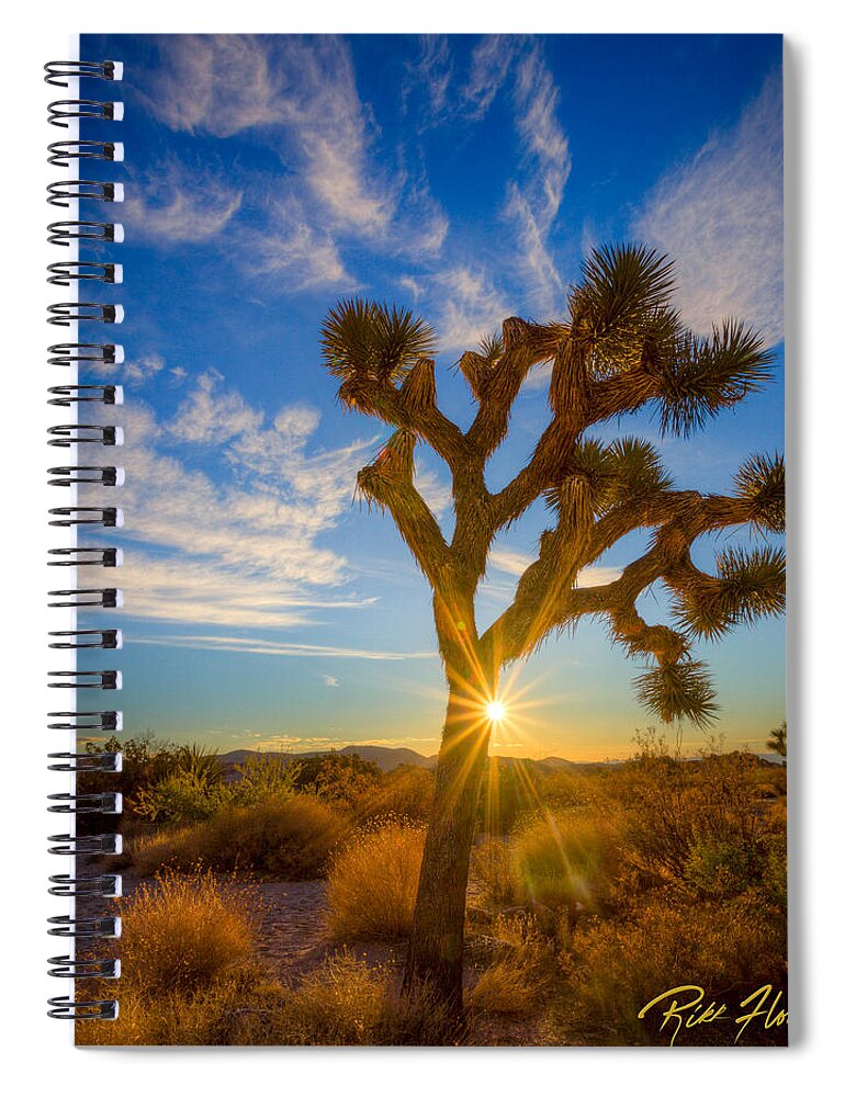 California Spiral Notebook featuring the photograph Joshua Eclipse by Rikk Flohr