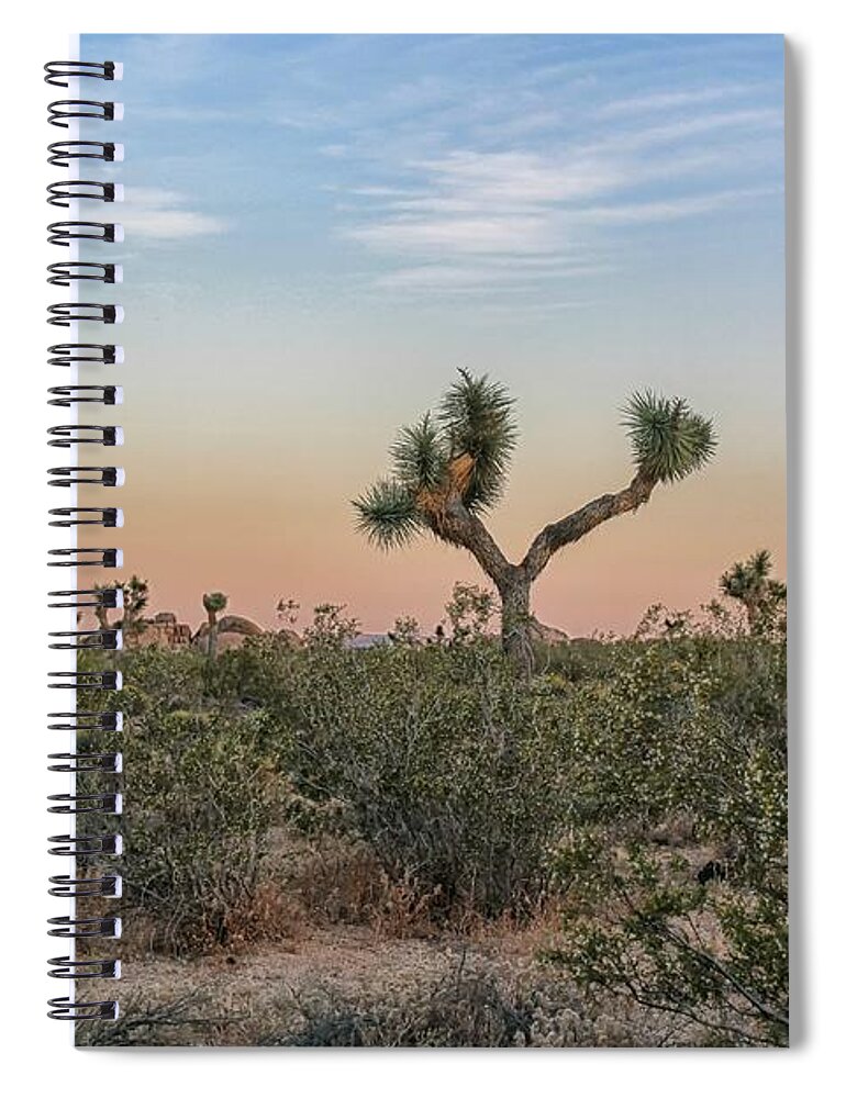 Joshua Tree Spiral Notebook featuring the photograph Joshua Tree Evening by Alison Frank