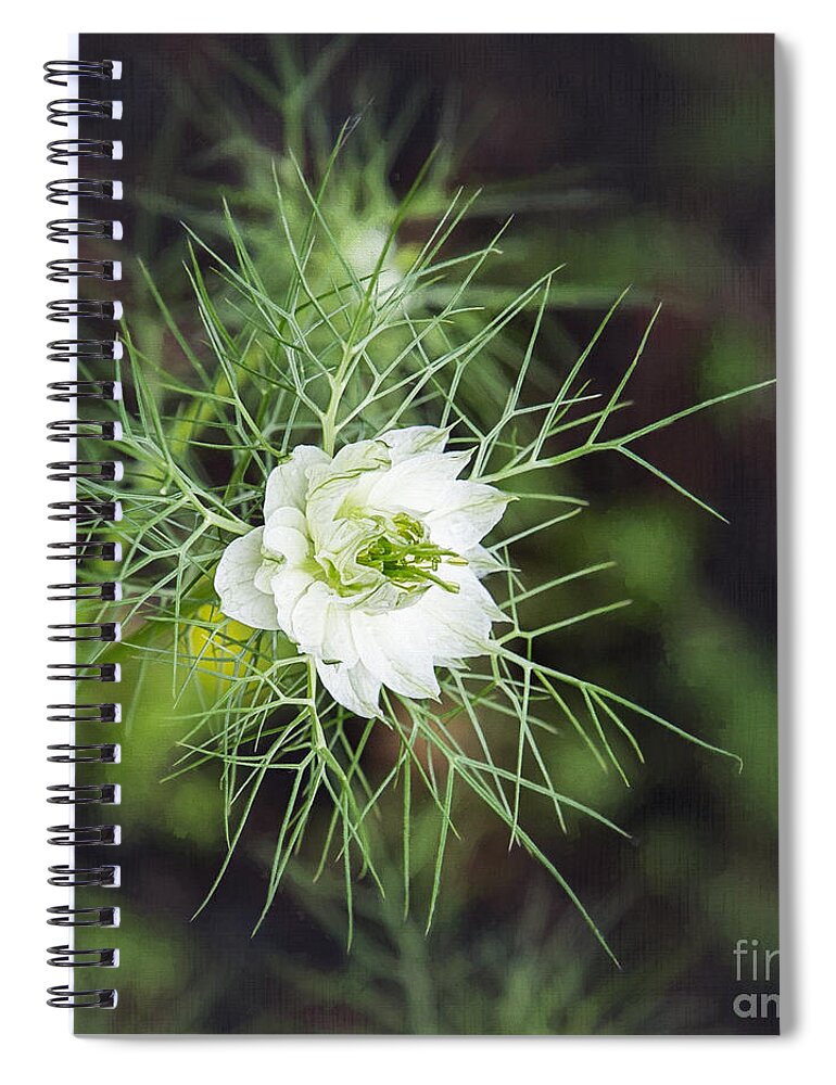White Flowers Spiral Notebook featuring the photograph Joy In The Morning by Sharon McConnell
