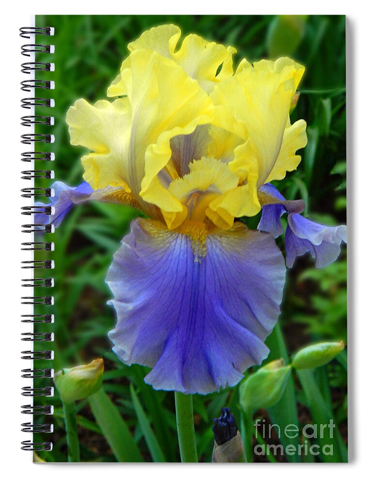 Julie's Iris Spiral Notebook featuring the photograph Julie's Iris by Emmy Vickers