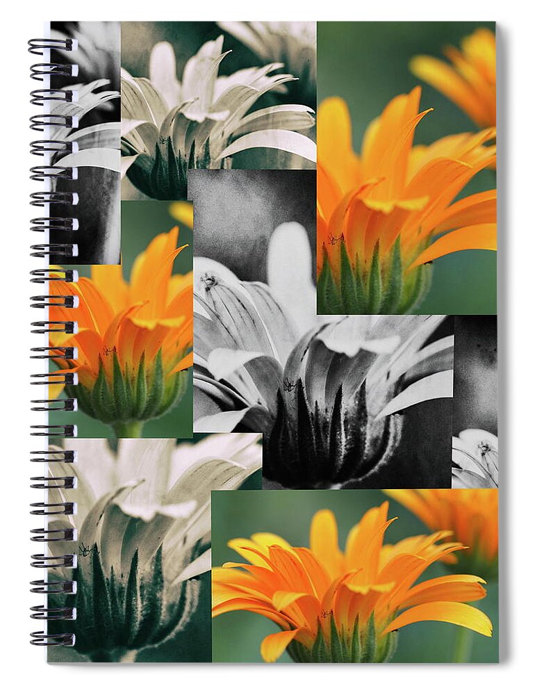 Jumble Spiral Notebook featuring the photograph Jumble by Tom Druin