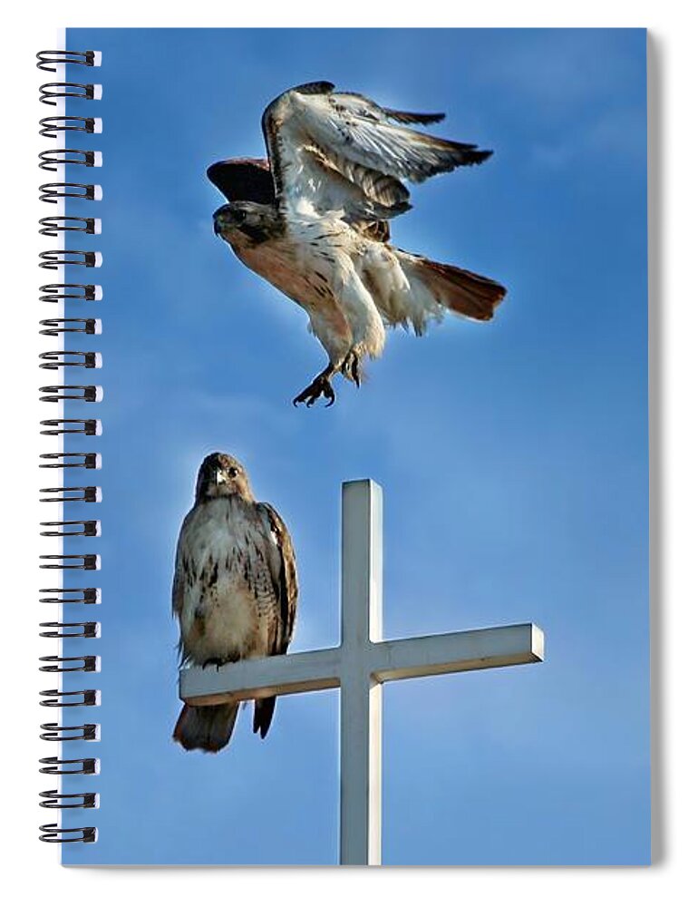 Hawk Spiral Notebook featuring the photograph Jump by Jackson Pearson