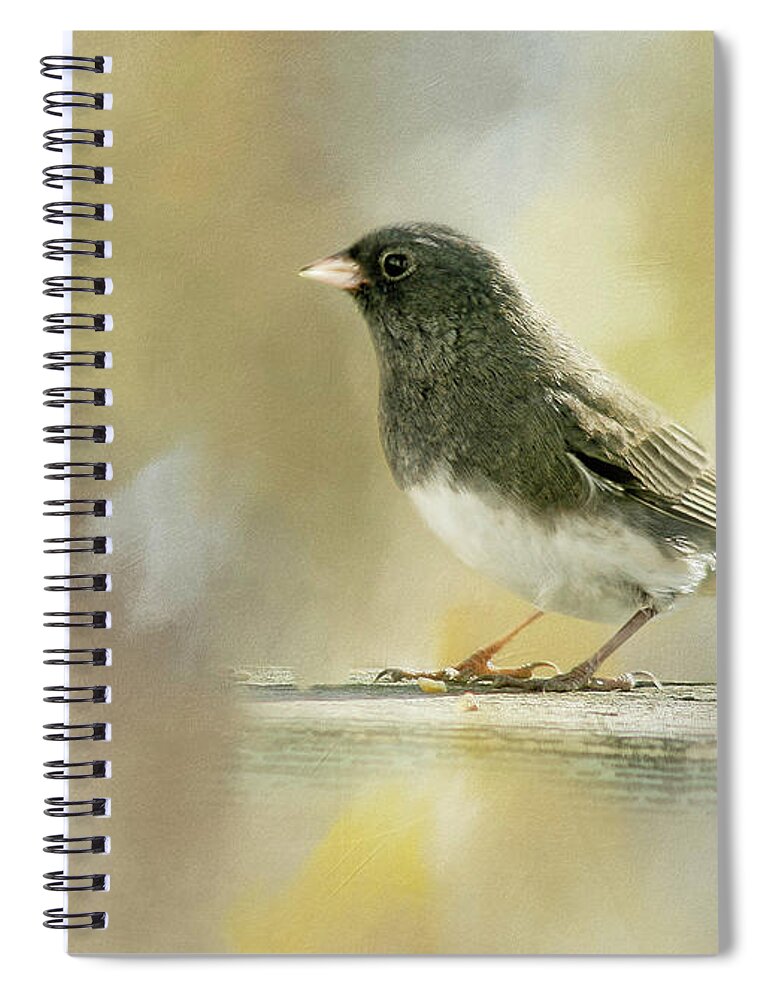 Junco Spiral Notebook featuring the photograph Junco by Cindi Ressler