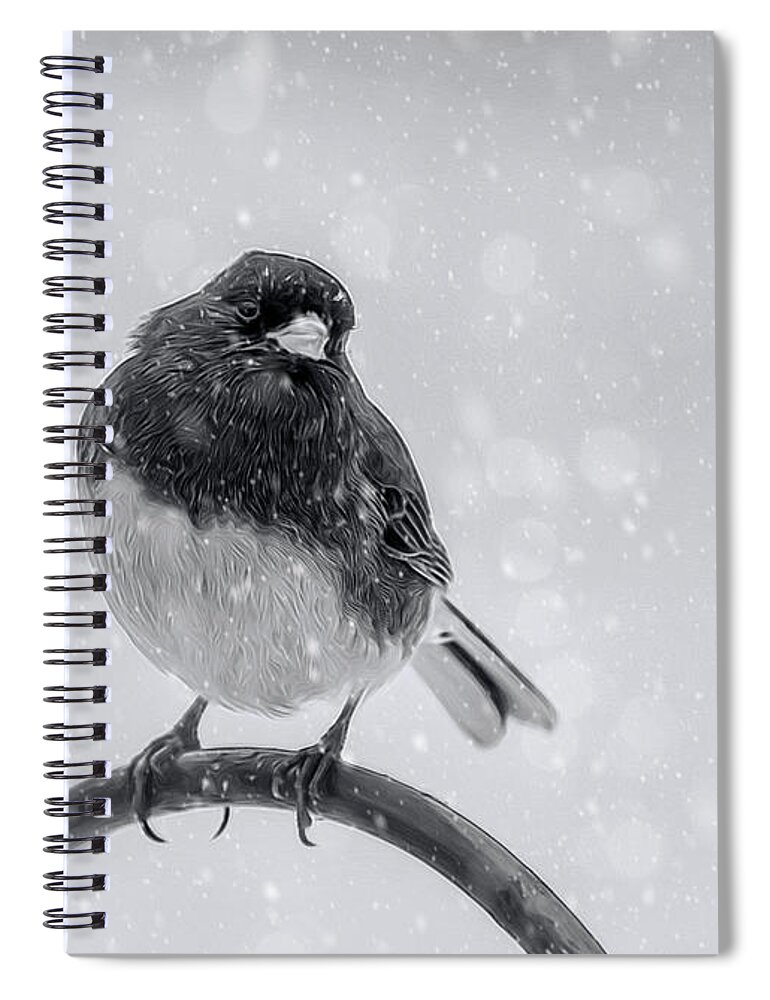 Bird Spiral Notebook featuring the photograph Junco In Winter by Cathy Kovarik