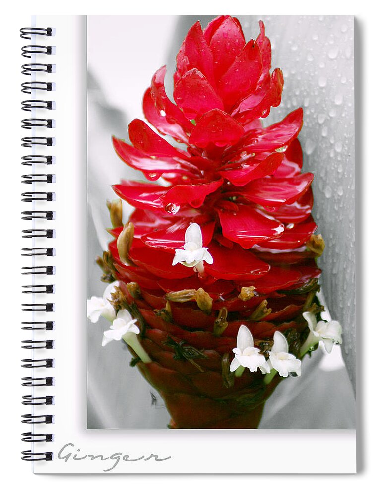 Nature Spiral Notebook featuring the photograph Jungle King Ginger by Holly Kempe