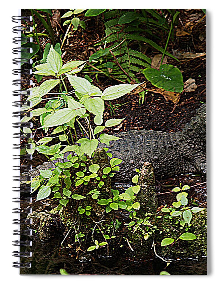 Gator Spiral Notebook featuring the photograph Just A Little Guy by Bob Johnson