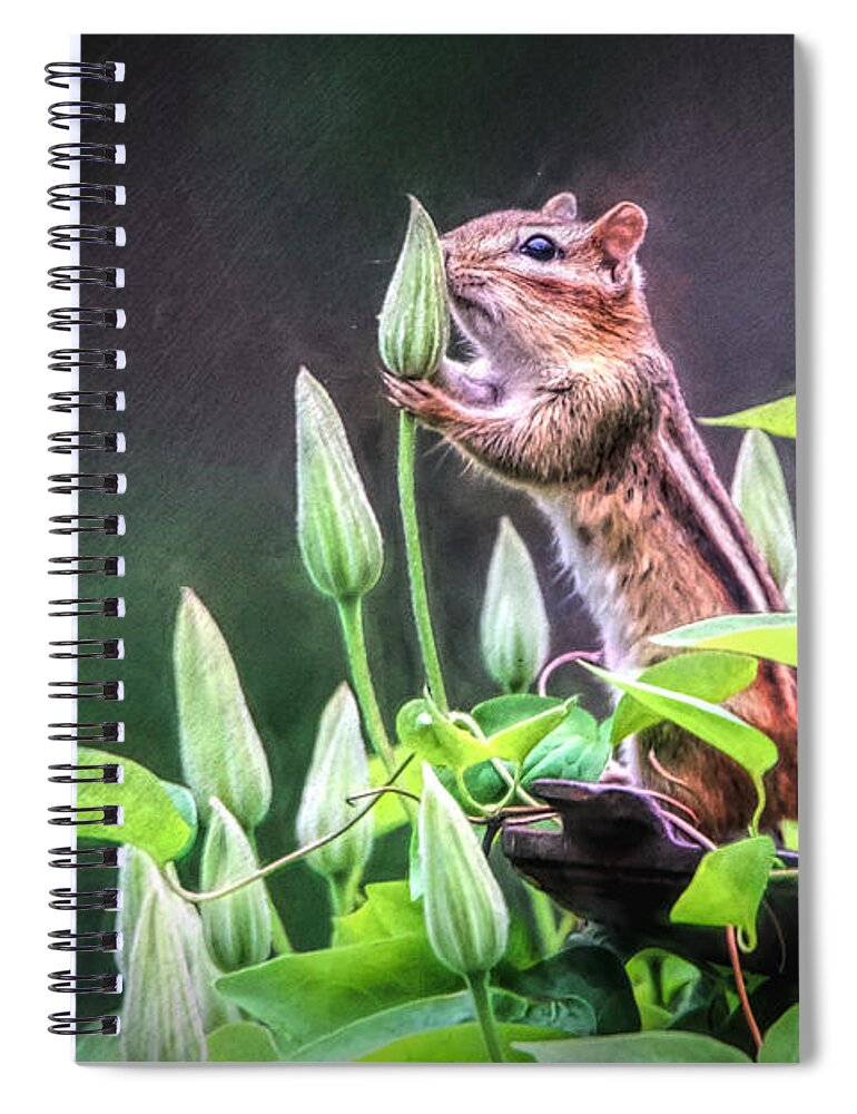 Chipmunk Spiral Notebook featuring the photograph Just A Little Sniff by Tina LeCour