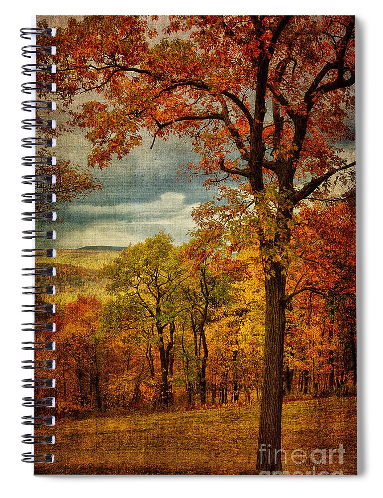 Tree Spiral Notebook featuring the photograph Just Another Day In Paradise. by Lois Bryan
