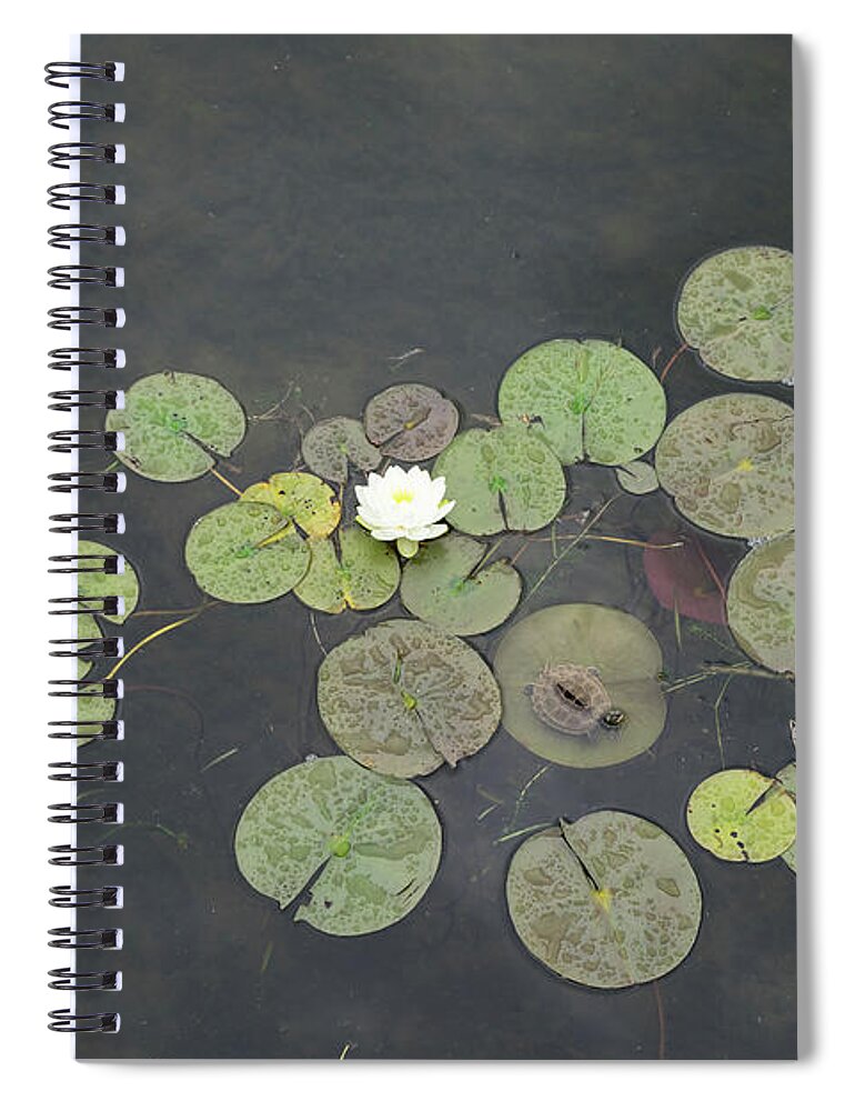 Georgia Mizuleva Spiral Notebook featuring the photograph Just Chillin - A Little Turtle Relaxing on a Waterlily Leaf by Georgia Mizuleva