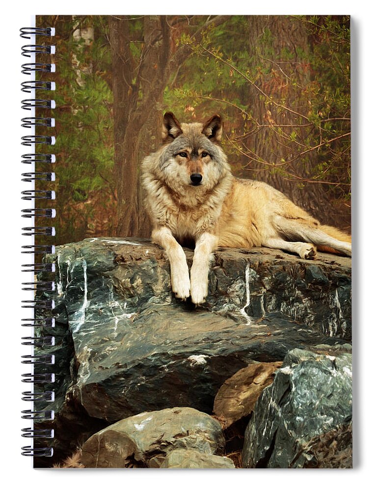 Animal Spiral Notebook featuring the photograph Just Chilling by Susan Rissi Tregoning
