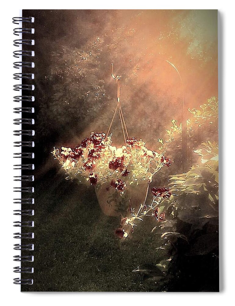 Sun Spiral Notebook featuring the photograph Just Dreaming by Dani McEvoy