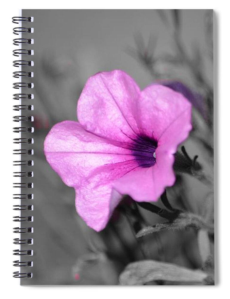 Pink Spiral Notebook featuring the photograph Just Pink by Dani McEvoy