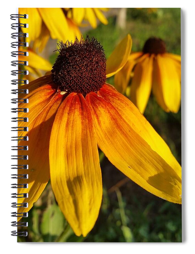 Daisy Spiral Notebook featuring the photograph Just Smile by Caryl J Bohn