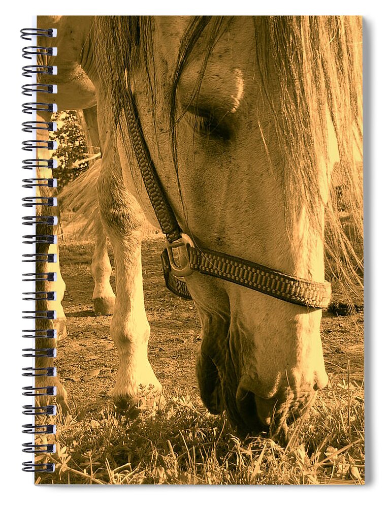 Orphelia Aristal Spiral Notebook featuring the photograph Kahn I by Orphelia Aristal