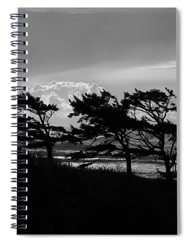 Black And White Spiral Notebook featuring the photograph Kalaloch by David Andersen