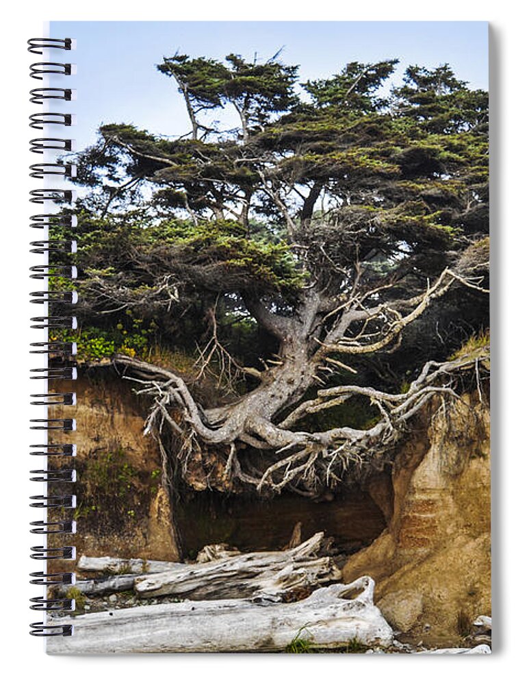 Lone Spiral Notebook featuring the photograph Kalaloch Hanging Tree by Pelo Blanco Photo