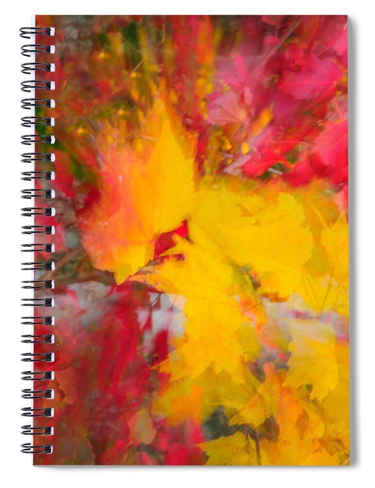 Maine Spiral Notebook featuring the photograph Kaleidoscope of Fall Colors by Roberta Kayne
