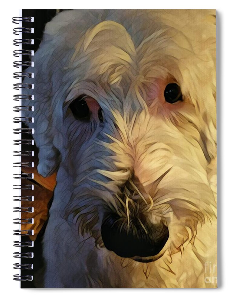 Dog Spiral Notebook featuring the photograph Katie Jean Lynn by Jodie Marie Anne Richardson Traugott     aka jm-ART