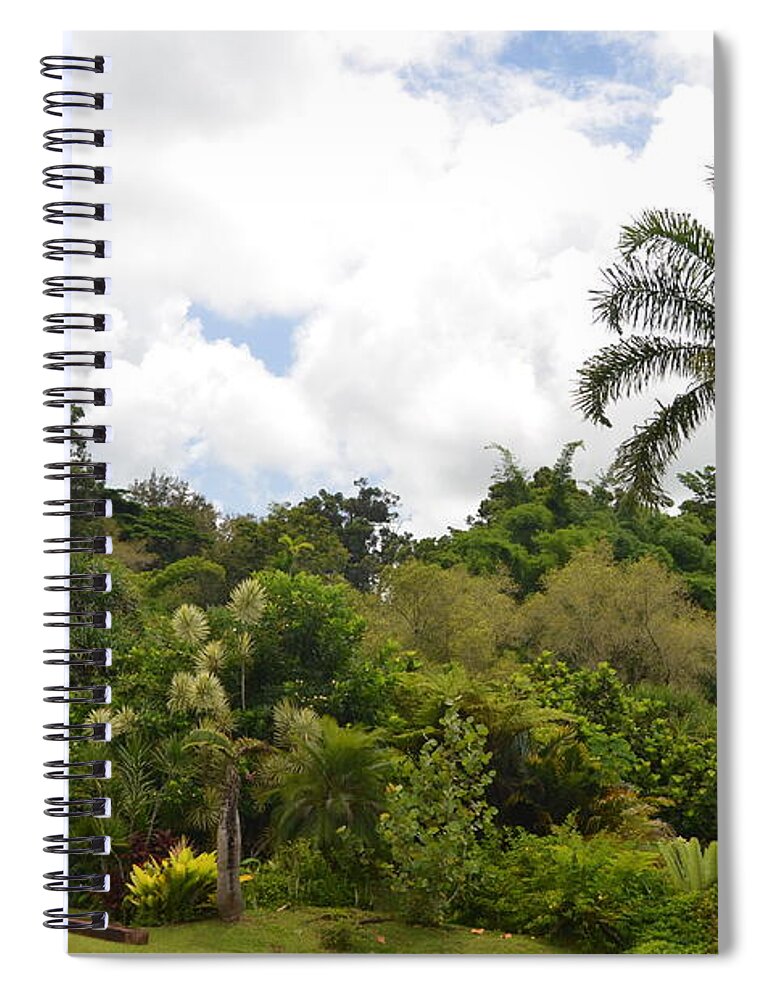 Kauai Spiral Notebook featuring the photograph Kauai Hindu Monastery Greenery 1 by Amy Fose