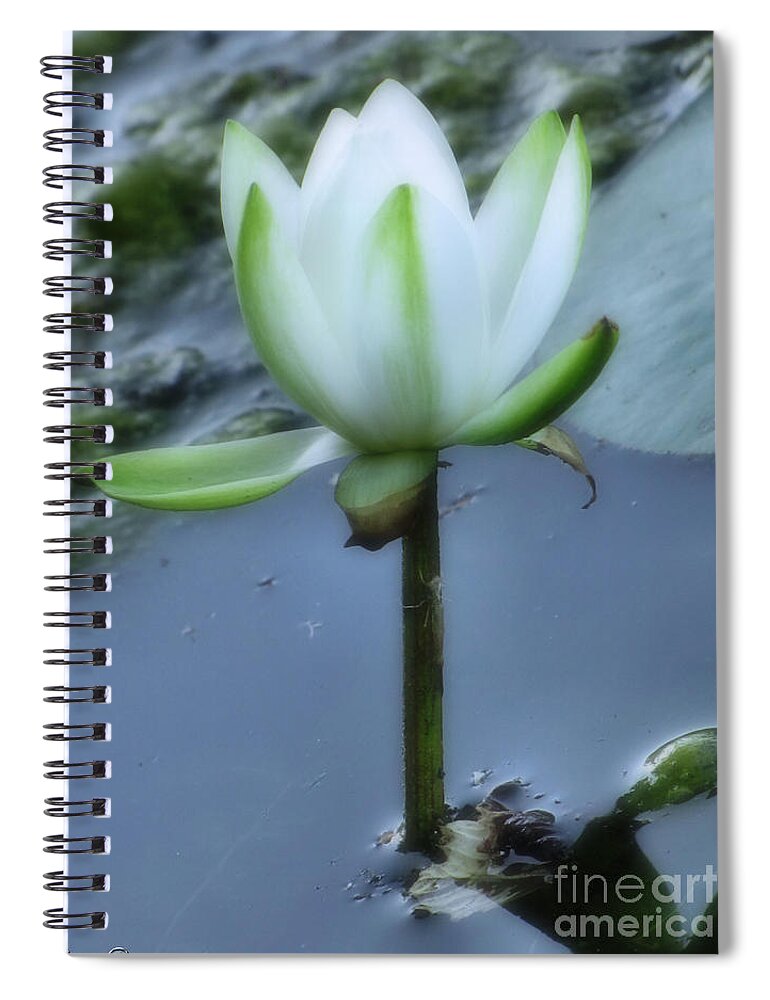 Close Up Spiral Notebook featuring the photograph Kensington 5 by September Stone