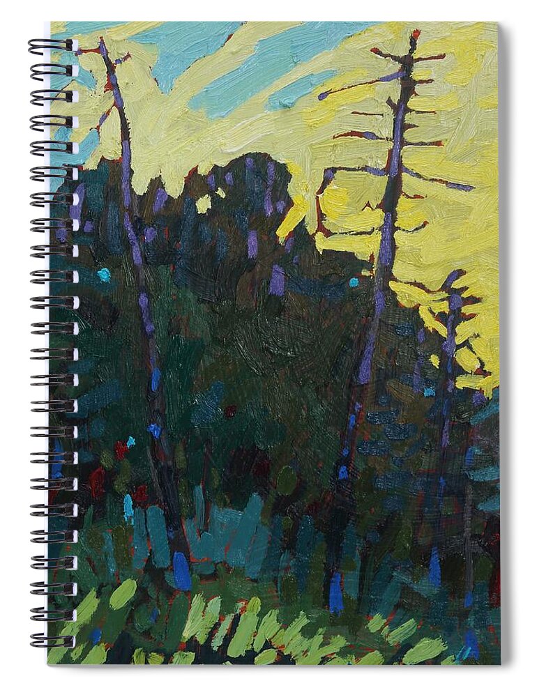 2006 Spiral Notebook featuring the painting Killbear Lookout Point Sunrise by Phil Chadwick