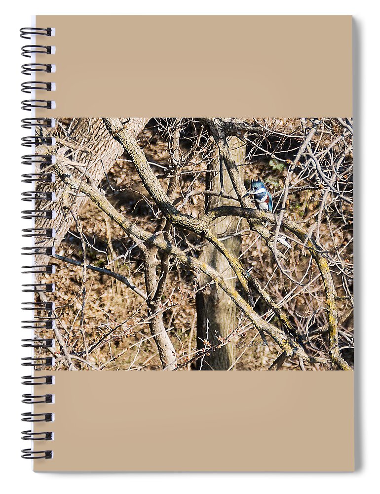 Kingfisher Spiral Notebook featuring the photograph Kingfisher Hunting by Ed Peterson