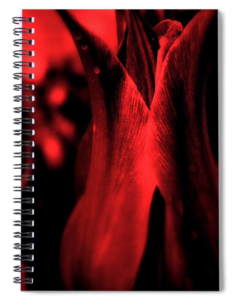 Flower Spiral Notebook featuring the photograph Kiss Me You Fool by Julie Lueders 