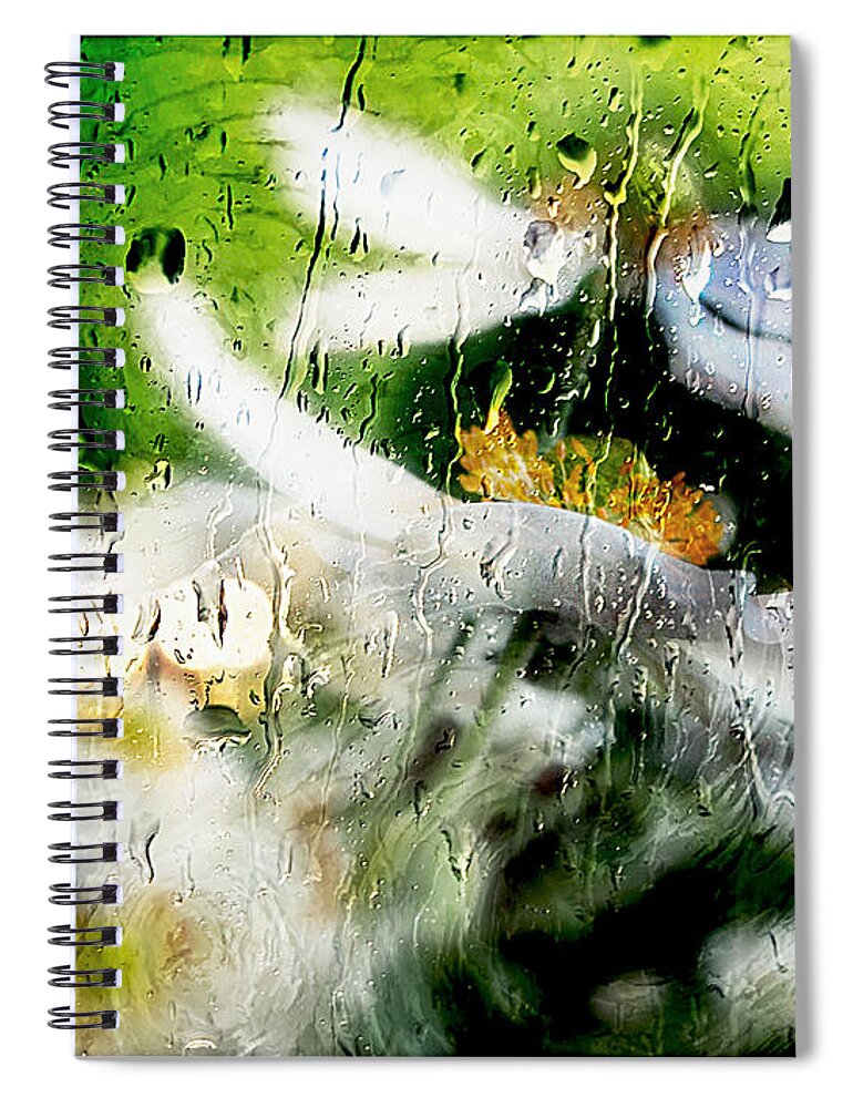 Anemone Spiral Notebook featuring the photograph Kissed by rain.. by Jolanta Anna Karolska