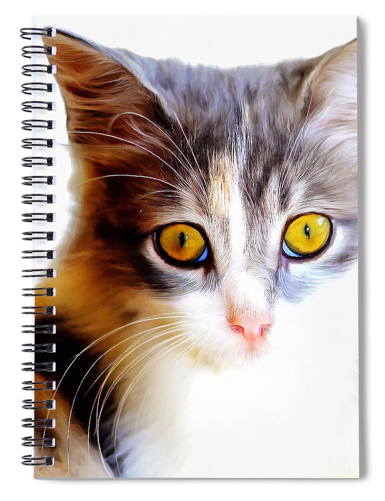 Wingsdomain Spiral Notebook featuring the photograph Kitty Cat Painterly 20170922 v2 square by Wingsdomain Art and Photography