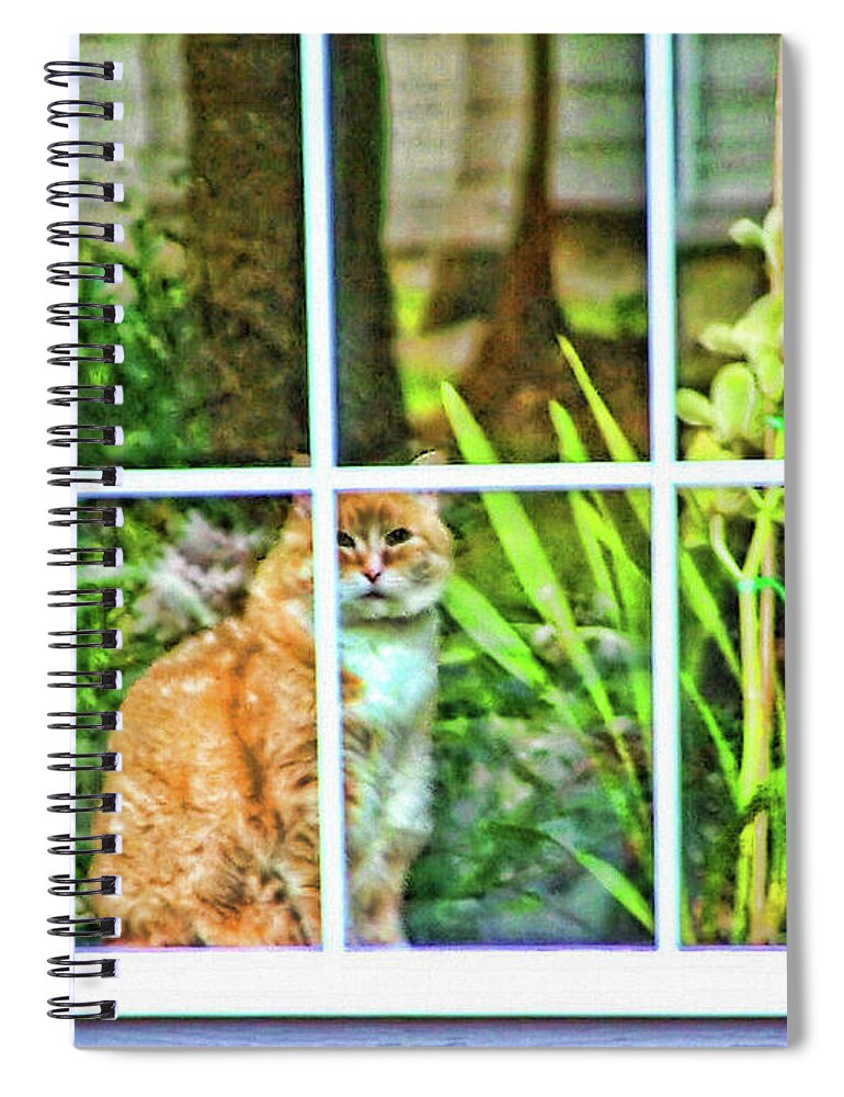 Cat Spiral Notebook featuring the photograph Kitty Reflections by Wendy McKennon