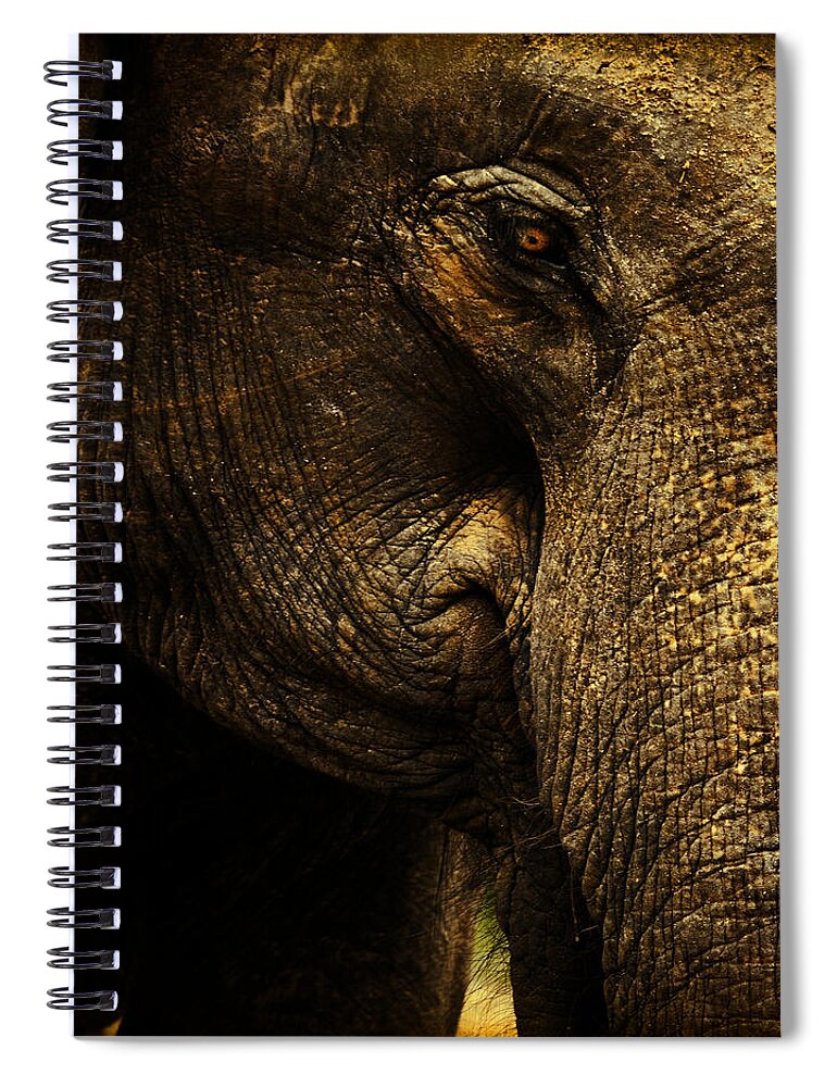 Elephant Spiral Notebook featuring the photograph Knowing by Andrew Paranavitana