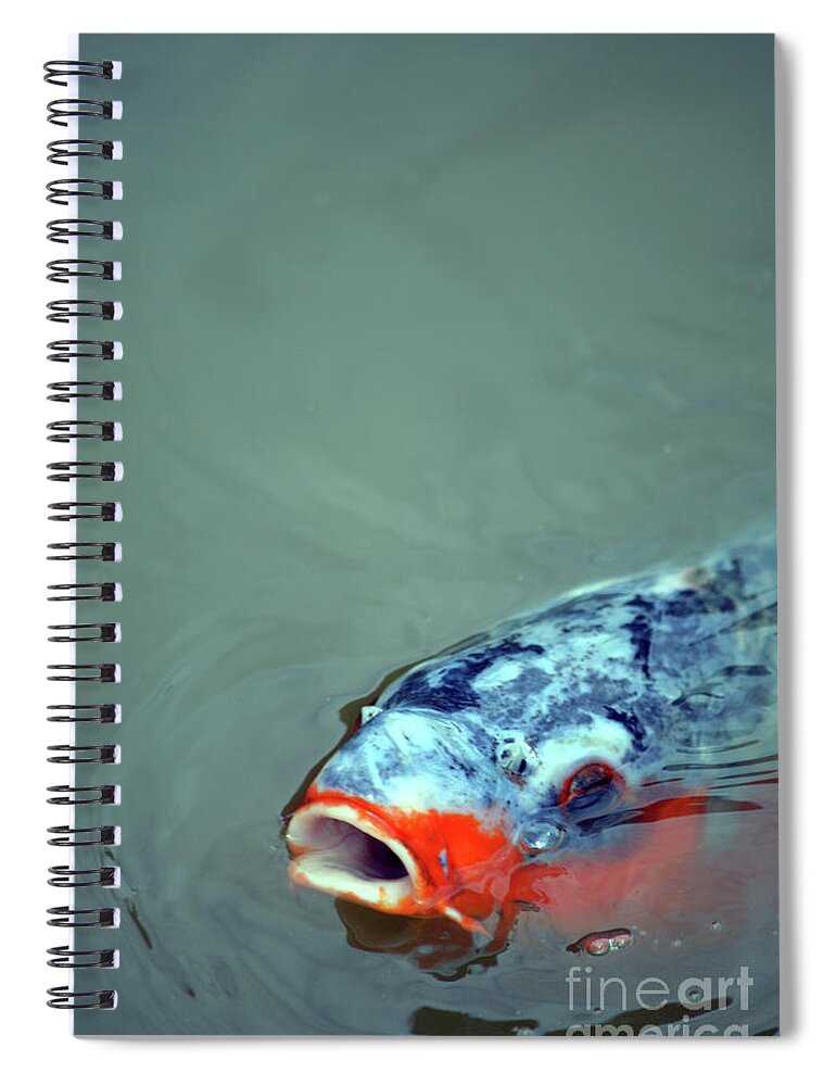 Koi Spiral Notebook featuring the photograph Koi by Carol Eliassen
