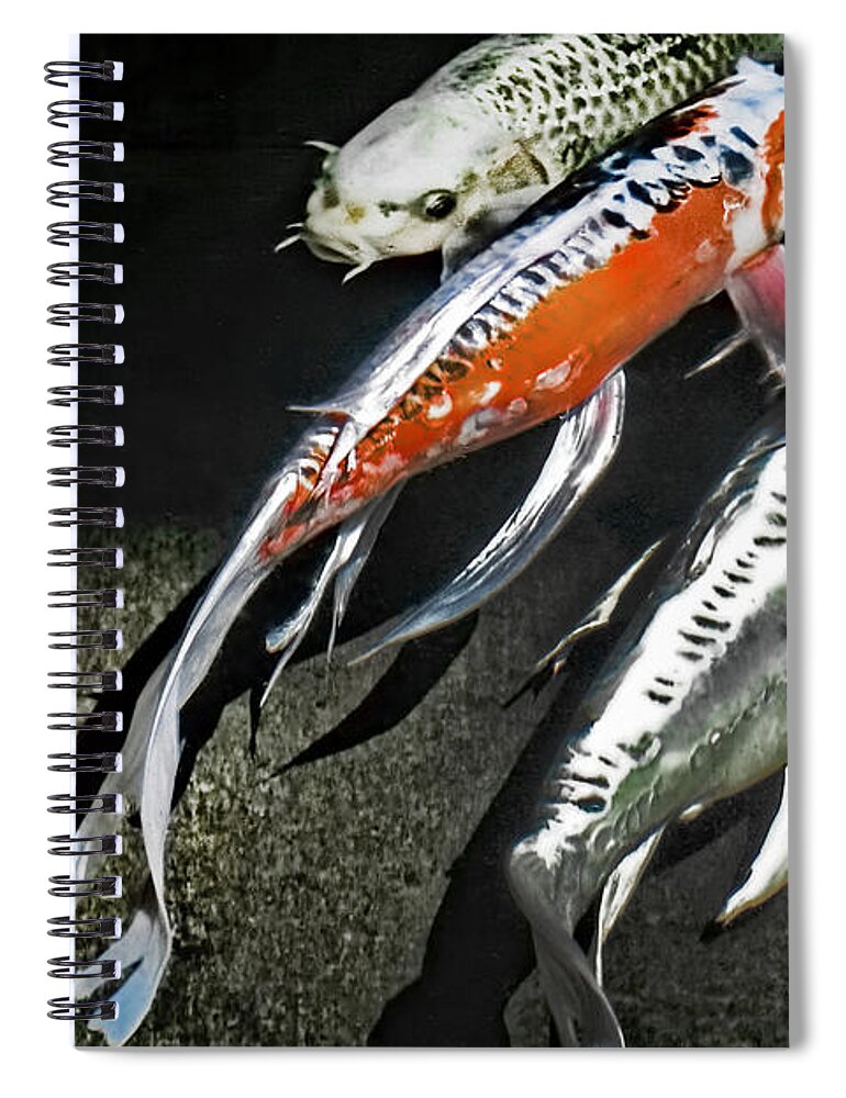 Koi Art Spiral Notebook featuring the photograph Koi Cliques by S Paul Sahm