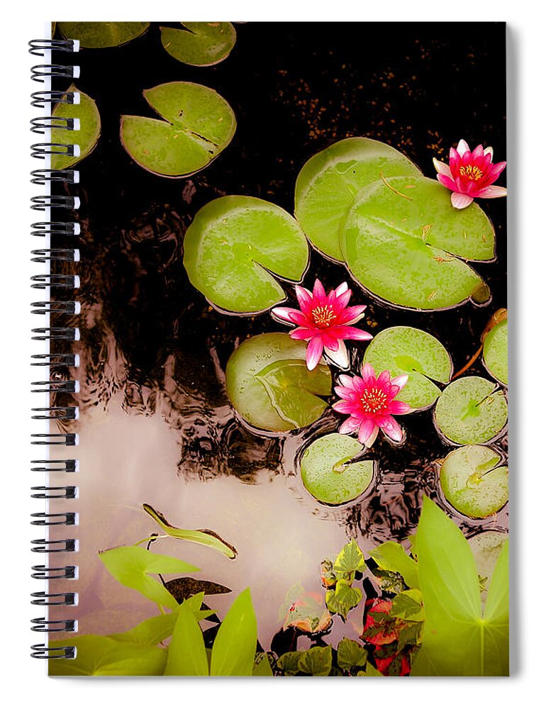 Koi Spiral Notebook featuring the photograph Koi Pond with Water Lilies by Hermes Fine Art