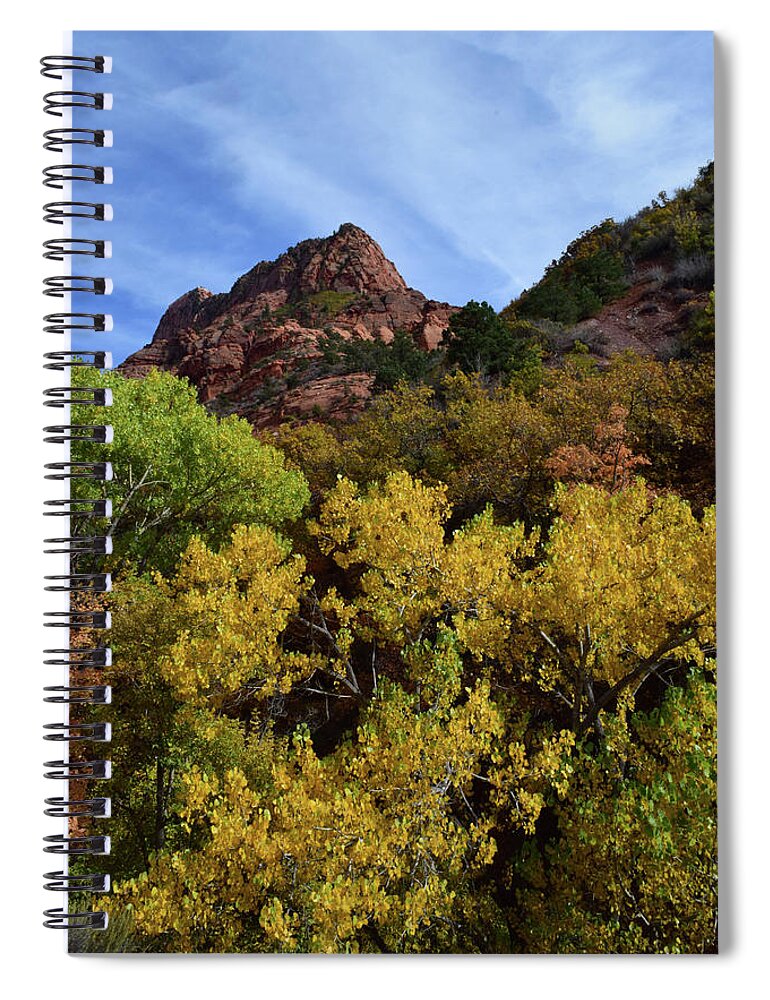 Zion Spiral Notebook featuring the photograph Kolob Canyon No. 63 by Sandy Taylor