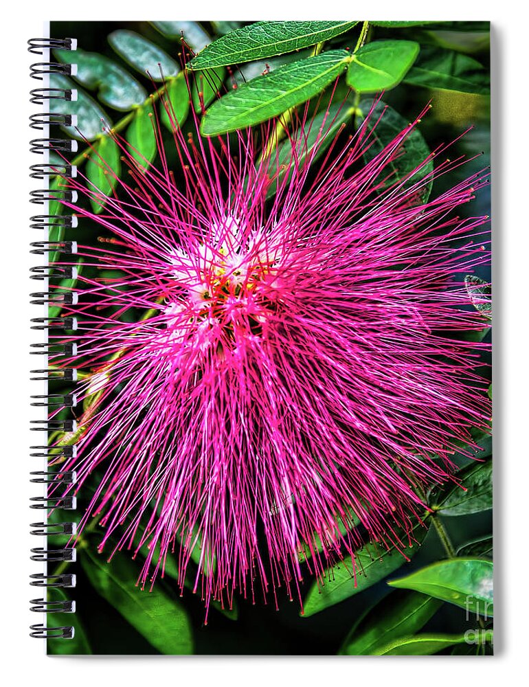 Jon Burch Spiral Notebook featuring the photograph Koosh Ball by Jon Burch Photography