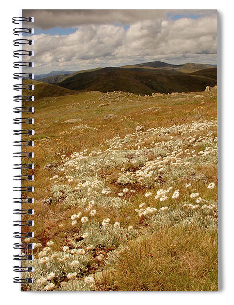 Photo Spiral Notebook featuring the pyrography Kosciusko summer by Glen Johnson